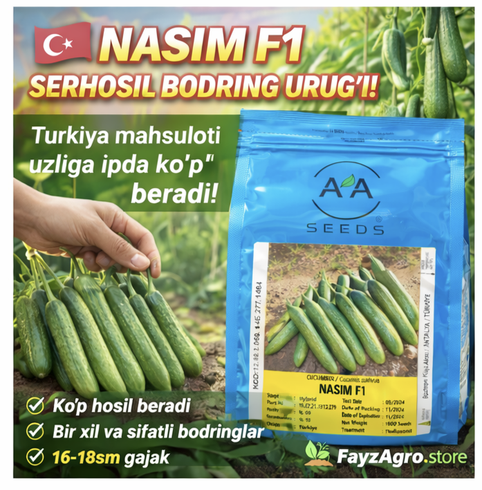 NASIM F1 🥒 1