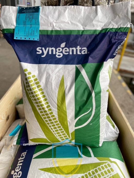 SYUNGENTA makkajoʻxori 3