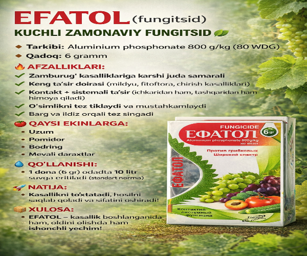 Efatol 1