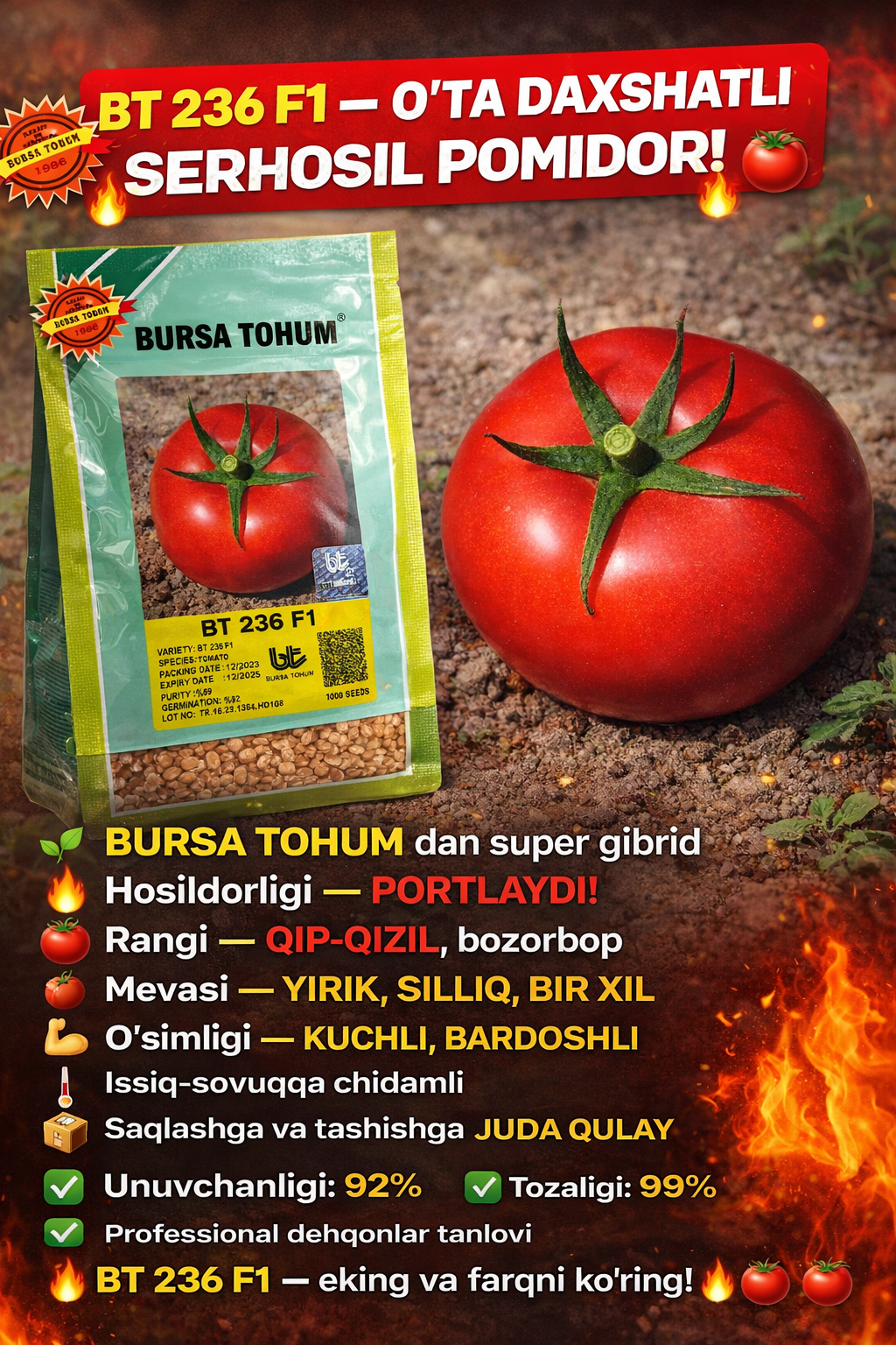 Bursa tohum BT236 F1 🍅