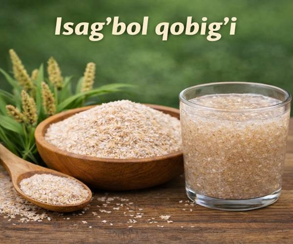 Psyllium (isagbol qobigʻi) 1