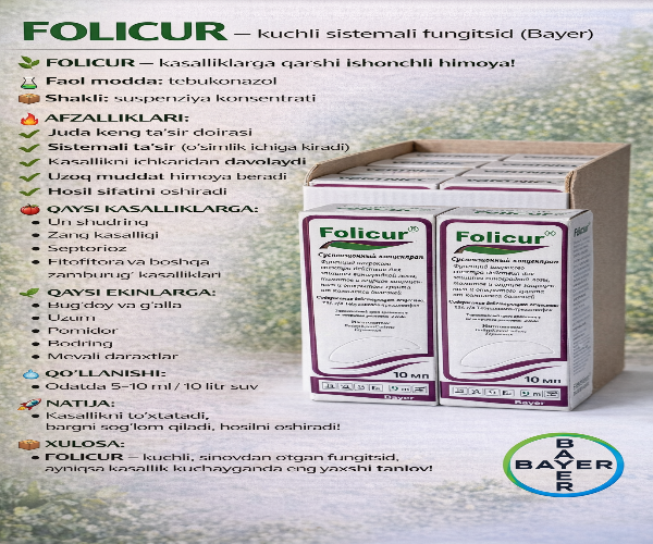 FOLICUR 1