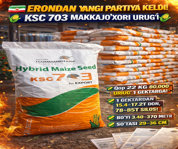 ERON KSC 703 Makka urugʻi