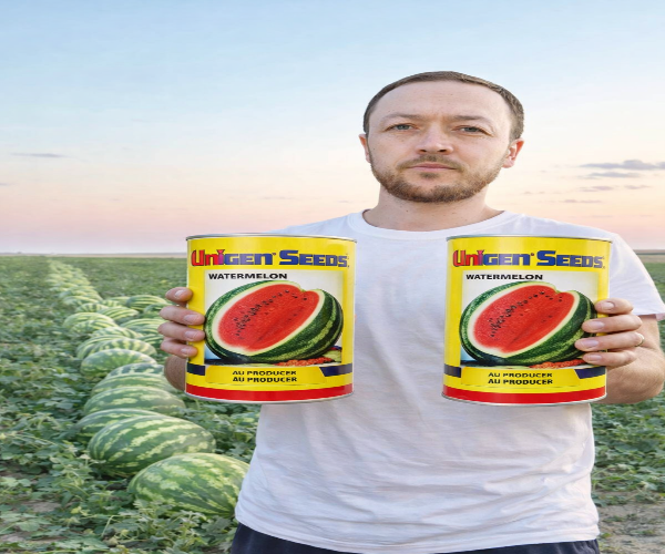 UNIGENSEEDS tarvuz urugʻi 2