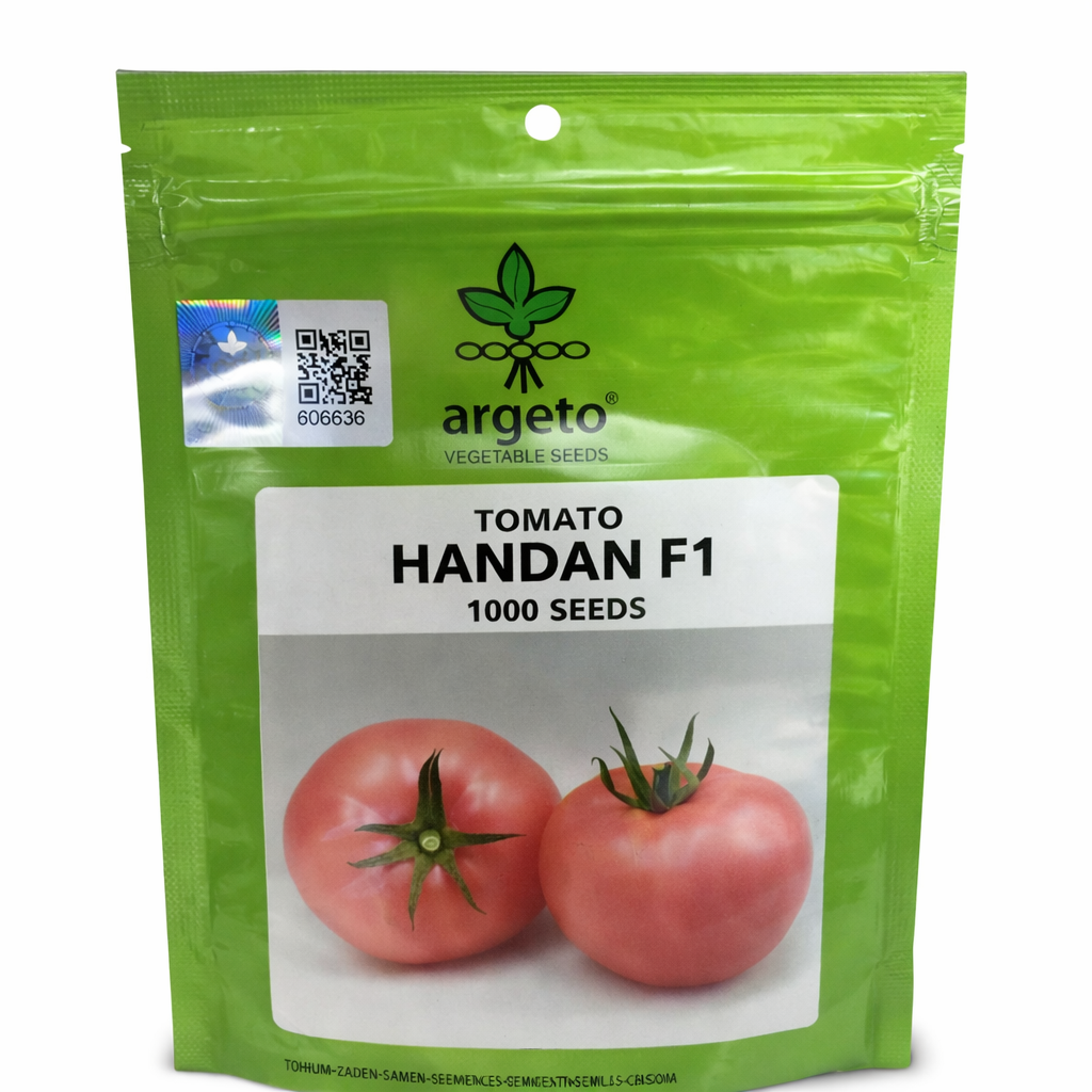 Handan F1 pushti 🍅 2