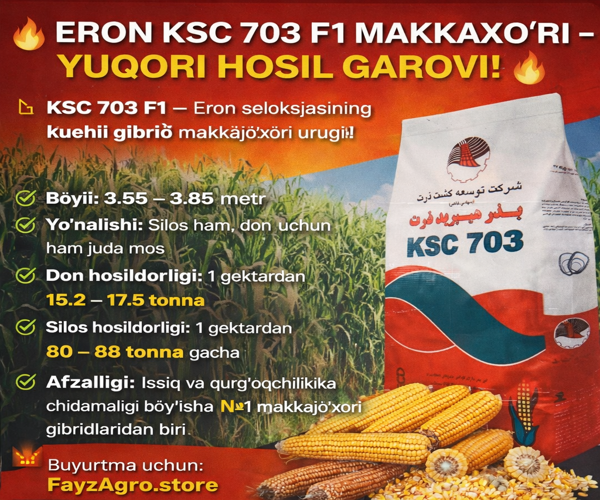 Eron ksc 703 Makka urugʻi 1
