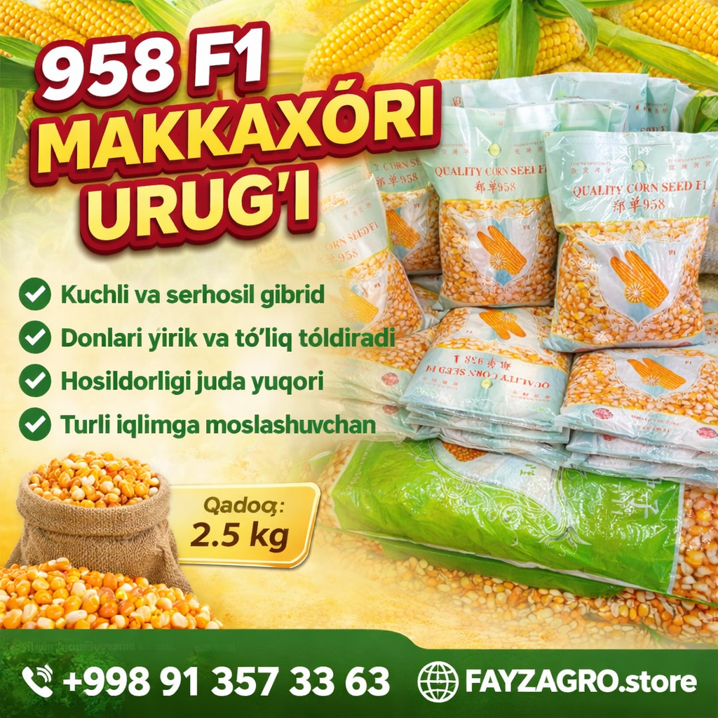 958 F1 Makka urugʻi 1