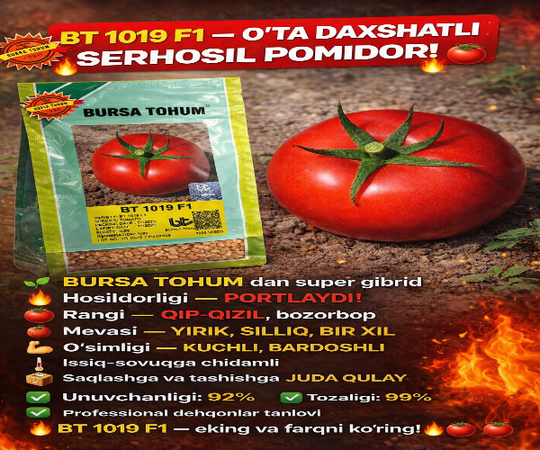 BT 1019 F1 🍅 1