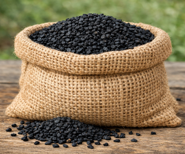 Piyoz urugʻi 🧅 1