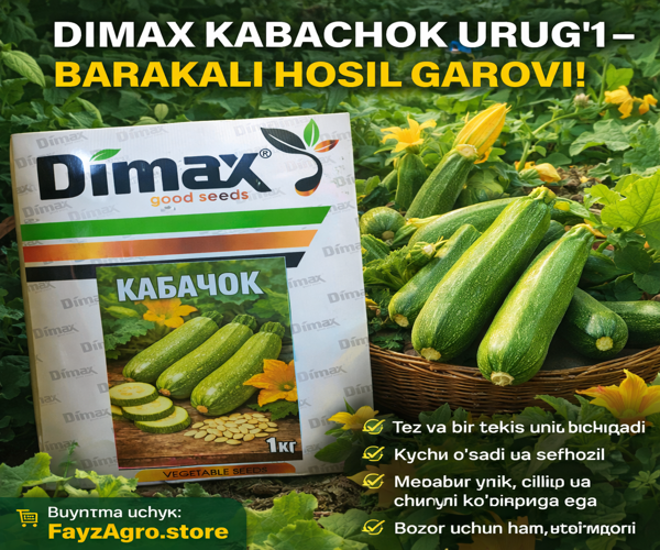 Kabachok urugʻi 1