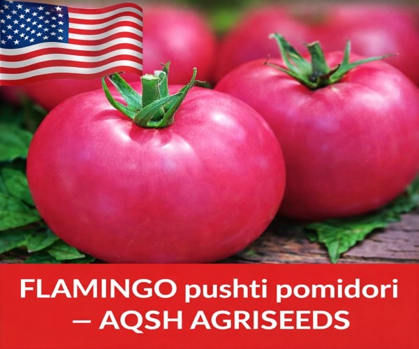 FLAMINGO pushti 🍅